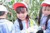 202507corn0244_thumb.png