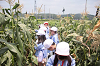 202507corn0245_thumb.png