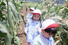 202507corn0249_thumb.png