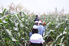 202507corn0252_thumb.png