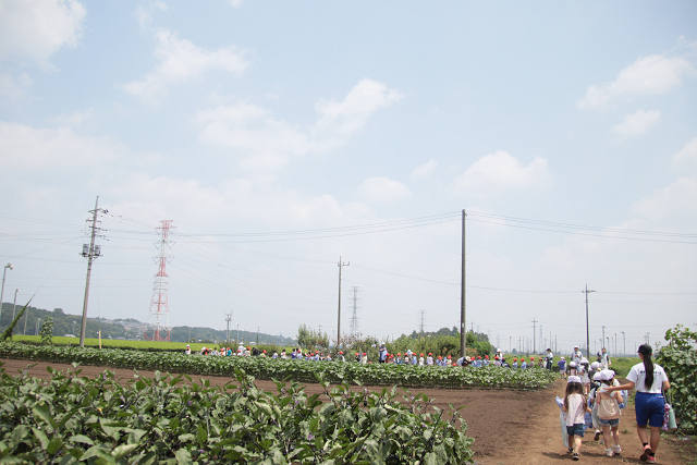 202507corn0259.jpg