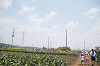 202507corn0259_thumb.png