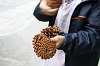 202510Amumin0036_thumb.png