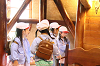 202510Amumin0131_thumb.png