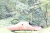 202510Amumin0138_thumb.png