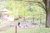202510Amumin0185_thumb.png