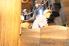 202510Amumin0244_thumb.png