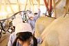 202510Amumin0296_thumb.png