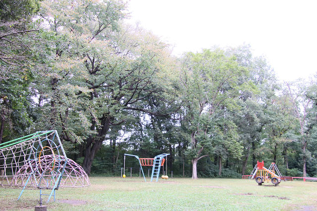 202510Bpicnic0078.jpg
