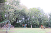 202510Bpicnic0078_thumb.png