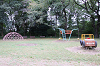 202510Bpicnic0081_thumb.png