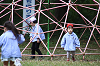 202510Bpicnic0148_thumb.png