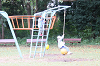 202510Bpicnic0151_thumb.png
