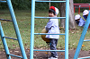 202510Bpicnic0162_thumb.png