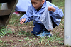 202510Bpicnic0192_thumb.png