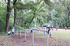 202510Bpicnic0260_thumb.png
