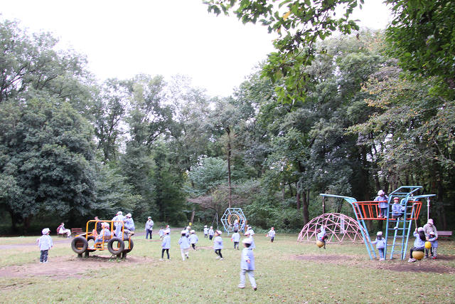 202510Bpicnic0264.jpg