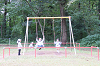 202510Bpicnic0265_thumb.png