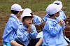 202510Bpicnic0272_thumb.png