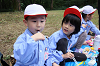 202510Bpicnic0280_thumb.png