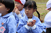202510Bpicnic0287_thumb.png
