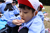 202510Bpicnic0288_thumb.png