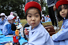 202510Bpicnic0330_thumb.png