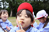 202510Bpicnic0340_thumb.png