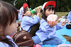 202510Bpicnic0348_thumb.png