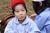 202510Bpicnic0359_thumb.png