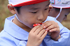 202510Bpicnic0367_thumb.png