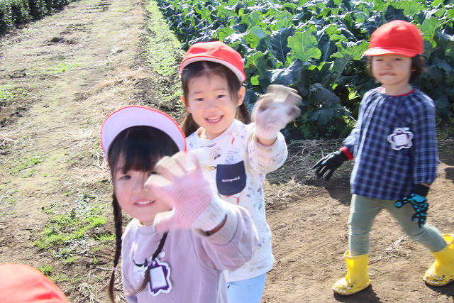 202511daikon0114.jpg