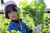 202511daikon0193_thumb.png