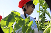 202511daikon0227_thumb.png