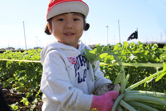 202511daikon0228.jpg
