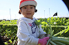 202511daikon0228_thumb.png