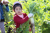 202511daikon0250_thumb.png