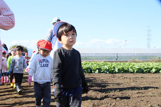 202511daikon0288.jpg