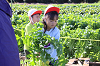202511daikon0321_thumb.png