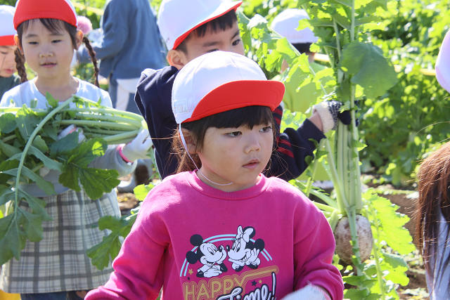 202511daikon0330.jpg