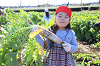 202511daikon0365_thumb.png