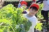 202511daikon0405_thumb.png