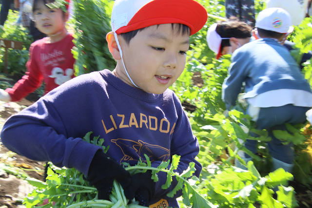 202511daikon0408.jpg