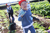 202511daikon0434_thumb.png