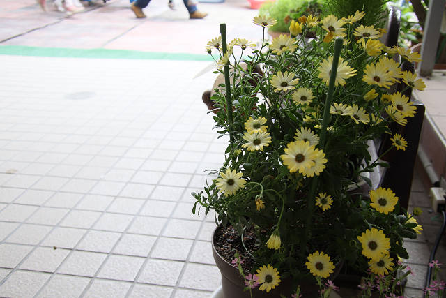 202604hinan0004.jpg