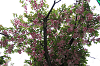 202604hinan0009_thumb.png