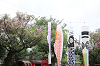 202604hinan0021_thumb.png