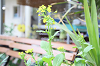 202604hinan0023_thumb.png
