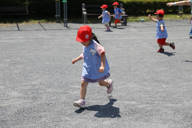 202605Cmaruyama0615.jpg