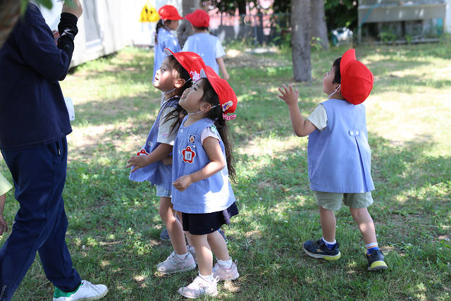 202605Cmaruyama0631.jpg